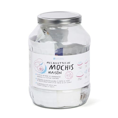 kit pour réaliser des mochis glacés