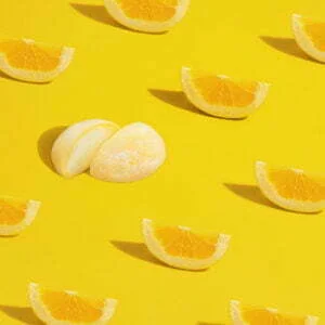 Lire la suite à propos de l’article La fabrication de mochi pour professionnels